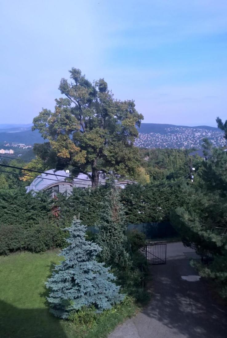 Romantic Two Bedroom Apartments In The Hills Of Budapest With Private Parking מראה חיצוני תמונה